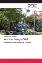 Bernald Ávila González - Accidentología Vial