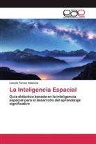 Lincoln Torres Valencia - La Inteligencia Espacial