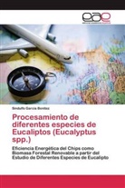 Sindulfo Garcia Benitez - Procesamiento de diferentes especies de Eucaliptos (Eucalyptus spp.)