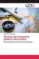 Adán Ibarrola Samudio - Servicio de transporte público Interurbano