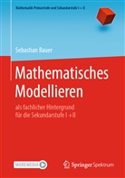 Sebastian Bauer, Sebastian (Dr.) Bauer - Mathematisches Modellieren