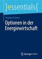Stephan Schnorr - Optionen in der Energiewirtschaft
