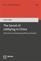 Susann Lüdtke - The Secret of Lobbying in China