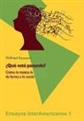 Wilfried Raussert, Ola Kaltmeier, Olaf Kaltmeier - ¿Qué está pasando?