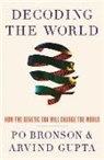 Po Bronson, Arvind Gupta - Decoding the World