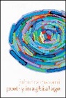 Jahan Ramazani, Professor Jahan Ramazani - Poetry in a Global Age