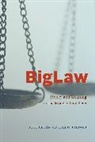 Mitt Regan, Mitt Rohrer Regan, Lisa H Rohrer, Lisa H. Rohrer - Biglaw