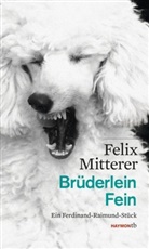 Felix Mitterer - Brüderlein Fein