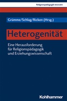 Rita Burrichter, Bernhard Grümme, Hans Mendl, Manfred L. Pirner, Norbert Ricken, Norbert Ricken u a... - Heterogenität