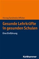 Benita Affolter, Silvi Herzog, Silvio Herzog, Anti Sandmeier, Antia Sandmeier - Gesunde Lehrkräfte in gesunden Schulen