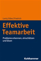 Friedrich, Peter Friedrich, Annik Lantz, Annika Lantz, Annik Lantz Friedrich, Annika Lantz Friedrich... - Effektive Teamarbeit