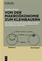 Andrea Franc, Schweizerischer Nationalfonds (SNF) - Von der Makroökonomie zum Kleinbauern