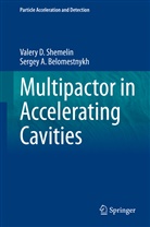 Sergey A Belomestnykh, Sergey A. Belomestnykh, Valery Shemelin, Valery D Shemelin, Valery D. Shemelin - Multipactor in Accelerating Cavities