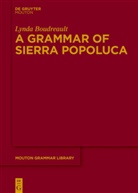 Lynda Boudreault - A Grammar of Sierra Popoluca
