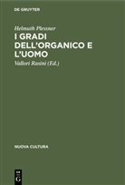 Helmuth Plessner, Vallori Rasini - I gradi dell'organico e l'uomo