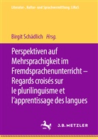 Birgi Schädlich, Birgit Schädlich - Perspektiven auf Mehrsprachigkeit im Fremdsprachenunterricht - Regards croisés sur le plurilinguisme et l'apprentissage des langues