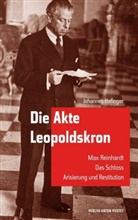 Johannes Hofinger - Die Akte Leopoldskron