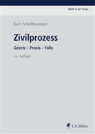 Kurt Schellhammer - Zivilprozess