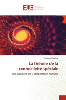 Prashant Chauhan - La théorie de la connectivité spéciale