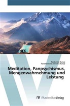 Parameswara Achutha Kurup, Ravikuma Kurup, Ravikumar Kurup - Meditation, Panpsychismus, Mengenwahrnehmung und Leistung