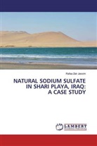 Rafaa Zair Jassim - NATURAL SODIUM SULFATE IN SHARI PLAYA, IRAQ: A CASE STUDY