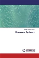 Gbenga Obokhai Folami - Reservoir Systems