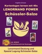 Angelina Schulze - Kartenlegen lernen mit 40x LENORMAND POWER Schüssler-Salze