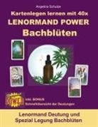 Angelina Schulze - Kartenlegen lernen mit 40x LENORMAND POWER Bachblüten