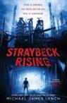 Michael J Lynch - Straybeck Rising