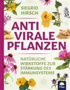 Siegrid Hirsch - Antivirale Pflanzen