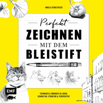 Angela Schultheiss - Perfekt zeichnen mit dem Bleistift - Techniken & Übungen zu Linien, Schraffur, Struktur & Perspektive