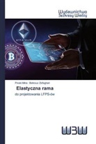 Pinaki Mitra, Behrouz Zolfaghari - Elastyczna rama