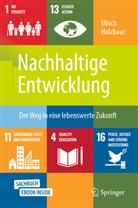 Ulrich Holzbaur - Nachhaltige Entwicklung, m. 1 Buch, m. 1 E-Book
