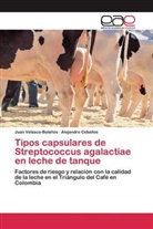 Alejandro Ceballos, Jua Velasco-Bolaños, Juan Velasco-Bolaños - Tipos capsulares de Streptococcus agalactiae en leche de tanque