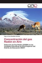 Caty Lorena Santillán Estrella - Concentración del gas Radón en Aire