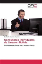 Gualberto Figueroa Figueroa - Consultores Individuales de Línea en Bolivia