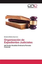 Norberto Molina Guerrero - Organización de Expedientes Judiciales