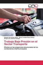 Helma Hernández Riaño, Helman Hernández Riaño, Sergio Luis Jimenez Arteaga, María Trinida Plaza Gómez, María Trinidad Plaza Gómez - Trabajo Bajo Presión en el Sector Transporte