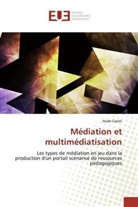 Aude Castel - Médiation et multimédiatisation