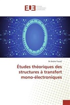 Amine Touati, Dr Amine Touati - Études théoriques des structures à transfert mono-électroniques