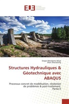 Serge Mendomo Meye, Serges Mendomo Meye, Shen Zhenzhong - Structures Hydrauliques & Géotechnique avec ABAQUS