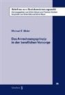 Michael Meier - Das Anrechnungsprinzip in der beruflichen Vorsorge