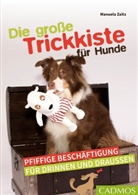 Manuela Zaitz - Die große Trickkiste für Hunde