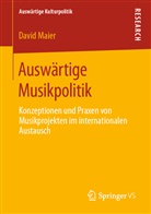 David Maier - Auswärtige Musikpolitik