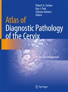 Ka J Park, Kay J Park, Kay J. Park, Robert A. Soslow, Simona Stolnicu - Atlas of Diagnostic Pathology of the Cervix