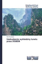 Petr Prochazka - Uszkodzenie wykladziny tunelu przez DGBEM