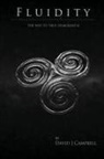 David Campbell - Fluidity - the way to true DemoKratia