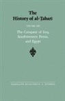 The History of al-¿abar¿ Vol. 13