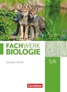 Fachwerk Biologie - Sachsen-Anhalt 2020: Fachwerk Biologie - Sachsen-Anhalt 2020 - 5./6. Schuljahr