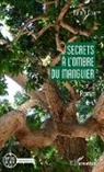 Aurore Cuffi - Secrets à l'ombre du manguier